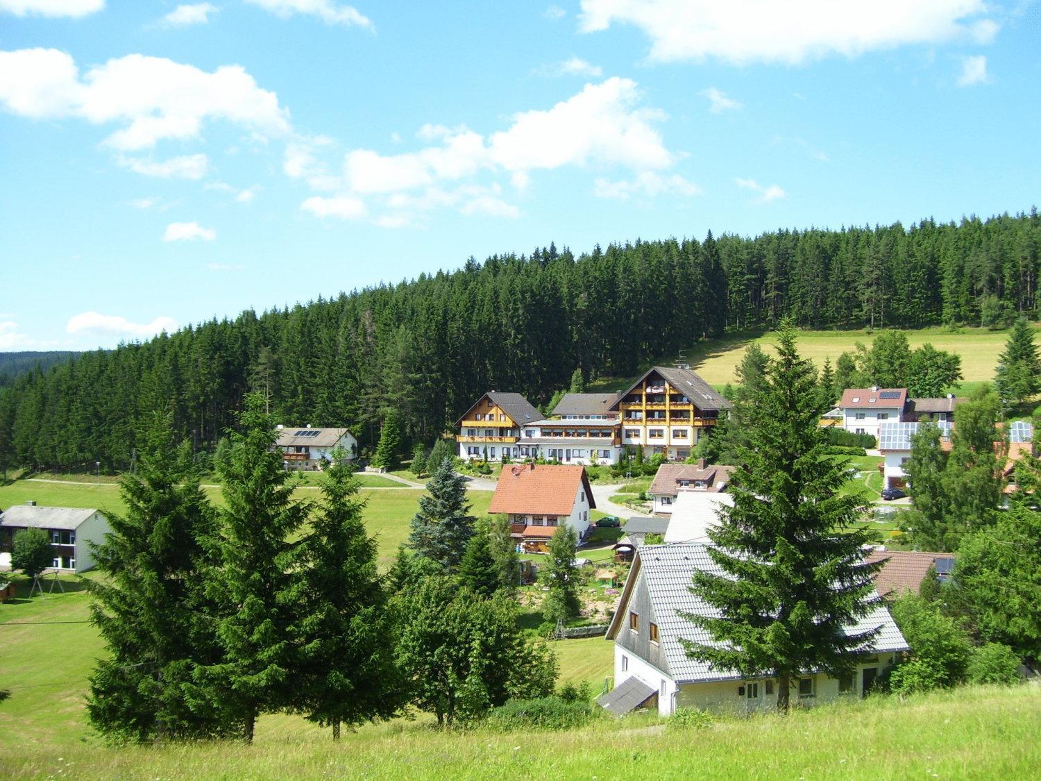 Auerhahn Bed And Breakfast - Black Forest - Waldhotel Айзенбах Экстерьер фото