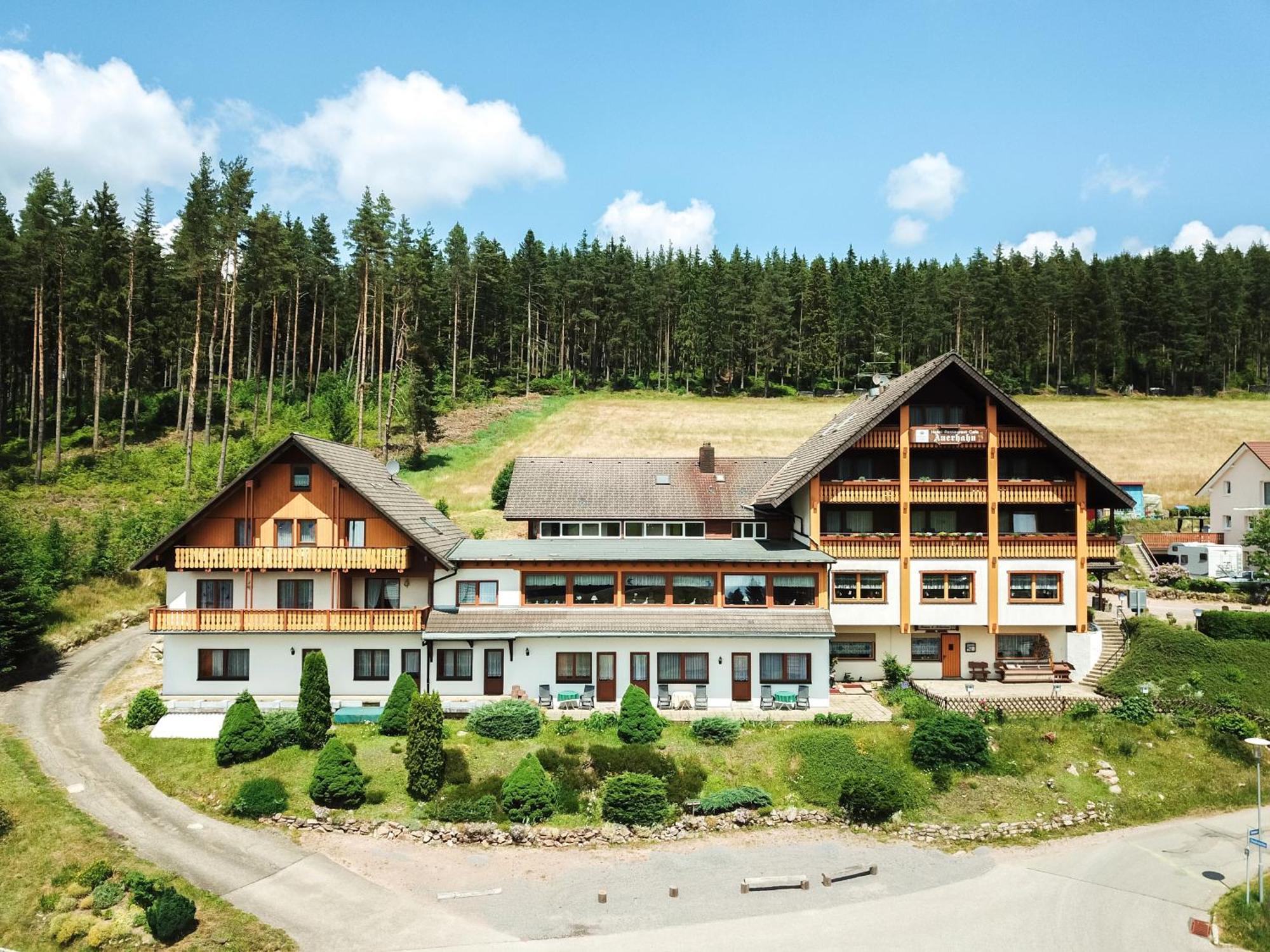 Auerhahn Bed And Breakfast - Black Forest - Waldhotel Айзенбах Экстерьер фото