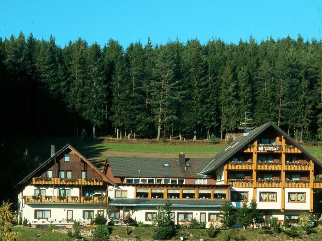 Auerhahn Bed And Breakfast - Black Forest - Waldhotel Айзенбах Экстерьер фото